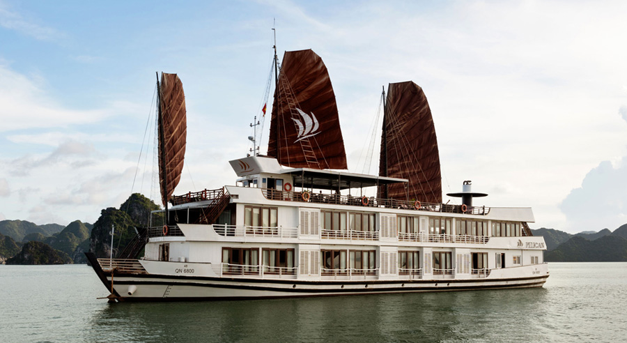 Pelican Cruise