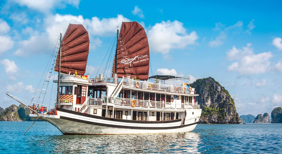 Swan Cruise